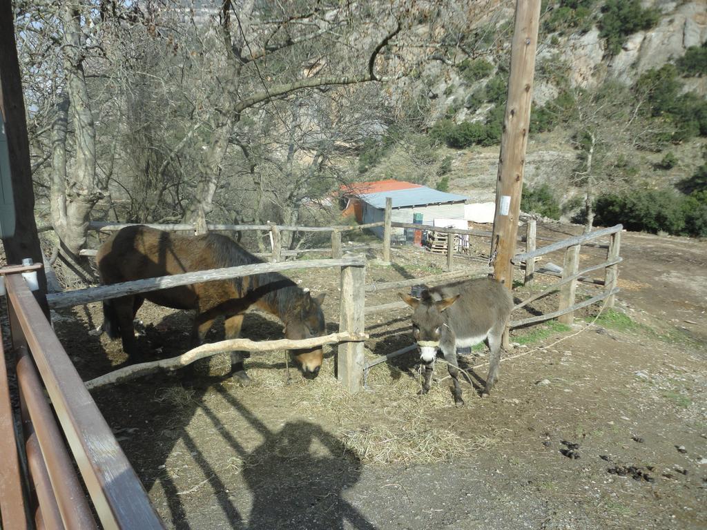 Faraggi Guesthouse Kalavryta Ruang foto
